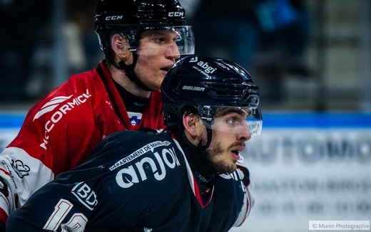 Photo hockey Ligue Magnus - Ligue Magnus : 36me journe : Angers  vs Amiens  - Angers s