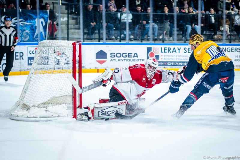 Photo hockey Ligue Magnus - Ligue Magnus : 36me journe : Angers  vs Amiens  - Angers s