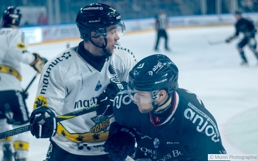 Photo hockey Ligue Magnus - Ligue Magnus : 38me journe : Angers  vs Rouen - Angers s