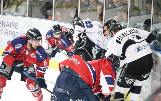 Photo hockey Ligue Magnus - Ligue Magnus : 39me journe : Angers  vs Gap  - Angers vs Gap : Galerie photos