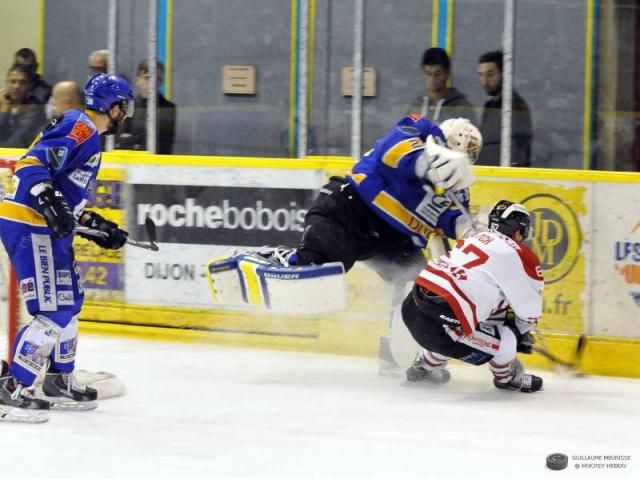 Photo hockey Ligue Magnus - Ligue Magnus : 3me journe : Dijon  vs Morzine-Avoriaz - Messire le Duc chasse le Pingouin