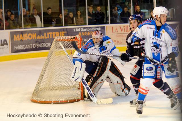 Photo hockey Ligue Magnus - Ligue Magnus : 6me journe : Angers  vs Gap  - Les Ducs tout en exprience