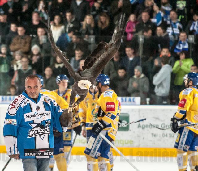 Photo hockey Ligue Magnus - Ligue Magnus : 8me journe : Gap  vs Dijon  - LM : Gap se  rassure face aux ducs de Dijon.