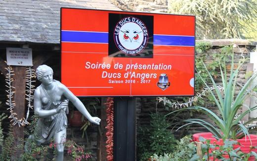 Photo hockey Ligue Magnus - Ligue Magnus : Angers  (Les Ducs) - Garden Party des Ducs dAngers