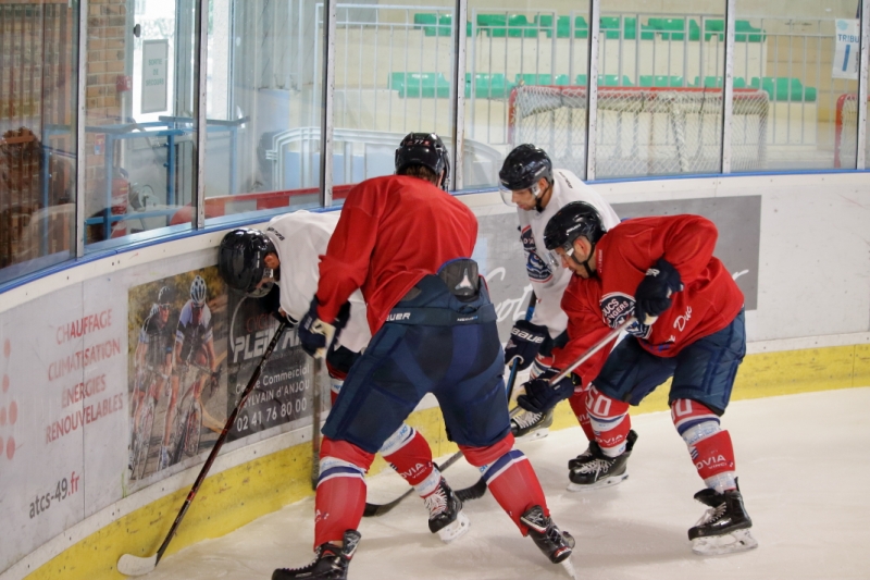 Photo hockey Ligue Magnus - Ligue Magnus - Les Ducs dAngers ont retrouv le Haras