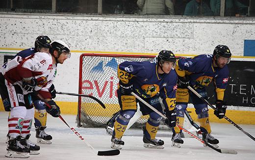 Photo hockey Ligue Magnus - Ligue Magnus - Les Pingouins remportent le premier derby