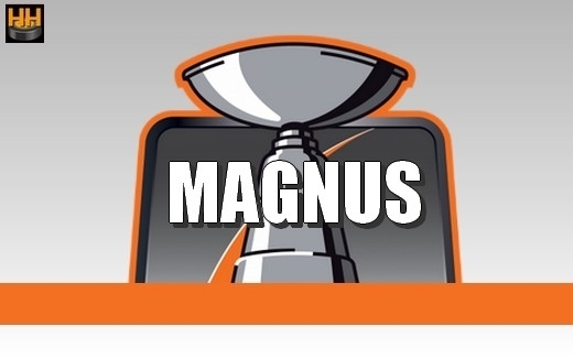Photo hockey Ligue Magnus - Ligue Magnus - Ligue Magnus, retour sur une saison pas comme les autres