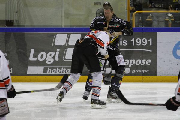 Photo hockey Ligue Magnus - Ligue Magnus : Rouen (Les Dragons) - Les Dragons seront l !