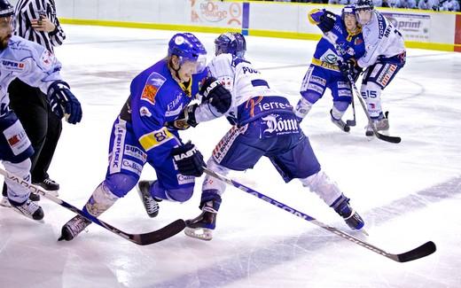 Photo hockey Ligue Magnus - Ligue Magnus: 23me journe : Dijon  vs Angers  - Des grands Ducs, bourguignons