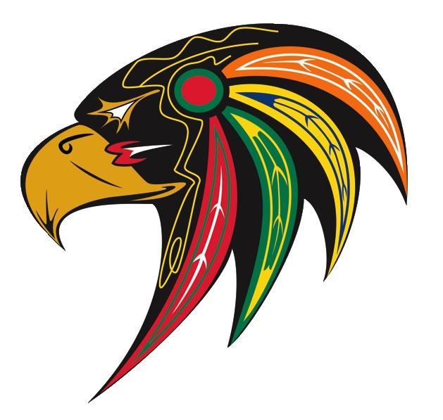 Photo hockey NHL : National Hockey League - AHL - NHL : National Hockey League - AHL - NHL : Le logo de Chicago discriminatoire ?