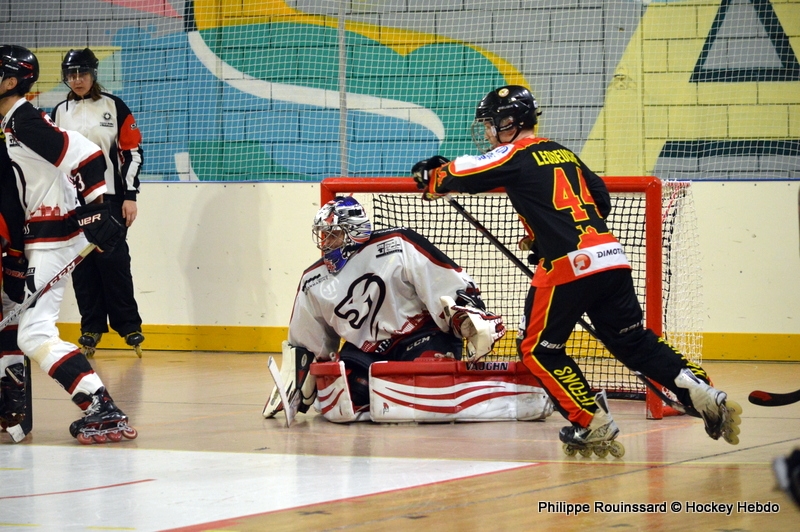 Photo hockey Roller Hockey - Roller Hockey - N1 : Les Lions sont rois