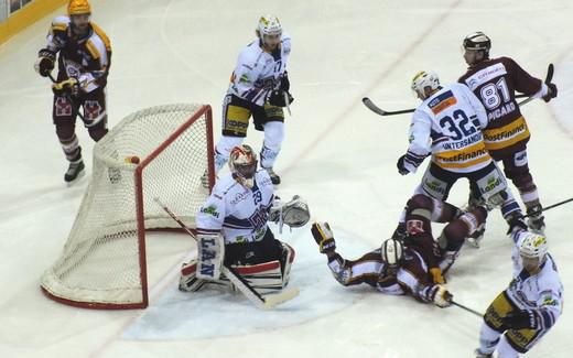 Photo hockey Suisse - National League - Suisse - National League : Genve (Genve-Servette HC) - Genve sans trembler