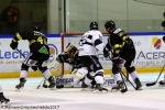 Ligue Magnus : 8me journe : Rouen vs Gap 