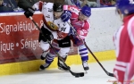 Ligue Magnus : 13me journe : Mulhouse vs Chamonix 