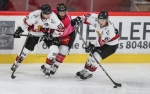 Ligue Magnus : 18me journe : Amiens  vs Chamonix 