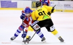 Ligue Magnus : 21me journe : Mulhouse vs Rouen