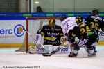 Ligue Magnus : 24me journe : Rouen vs Angers 