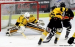 Ligue Magnus : 29me journe : Nice vs Rouen