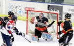 Ligue Magnus : 31me journe : Nice vs Angers 