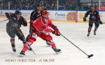 Ligue Magnus : 9me journe : Grenoble  vs Bordeaux