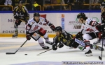 Ligue Magnus : 12me journe : Rouen vs Amiens 