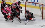 Ligue Magnus : 14me journe : Amiens  vs Mulhouse