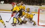 Ligue Magnus : 17me journe : Anglet vs Rouen