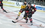 Ligue Magnus : 20me journe : Bordeaux vs Rouen