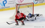 Ligue Magnus : 32me journe : Amiens  vs Gap 