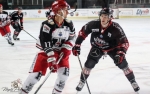 Ligue Magnus : 34me journe : Bordeaux vs Anglet