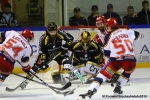 Ligue Magnus - Finale match 5 : Rouen vs Grenoble 