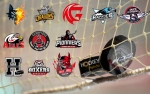 Ligue Magnus  11, les impacts