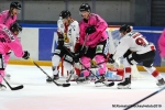 Ligue Magnus : 14me journe : Rouen vs Chamonix 