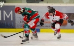 Ligue Magnus : 40me journe : Anglet vs Mulhouse