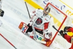 Ligue Magnus : 17me journe : Chamonix  vs Mulhouse