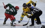 Ligue Magnus : 19me journe : Cergy-Pontoise vs Rouen