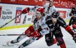 Ligue Magnus : 11me journe : Bordeaux vs Cergy-Pontoise