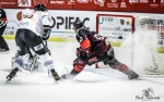 Ligue Magnus : 16me journe : Bordeaux vs Chamonix 