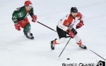 Ligue Magnus : 5me journe : Cergy-Pontoise vs Nice