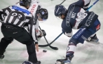 Ligue Magnus : 2me journe : Angers  vs Chamonix 