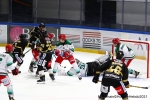 Ligue Magnus : 4me journe : Rouen vs Anglet