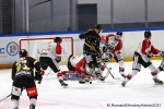 Ligue Magnus : 9me journe : Rouen vs Chamonix 