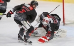 Ligue Magnus : 12me journe : Amiens  vs Nice