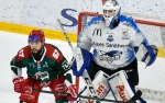 Ligue Magnus : 12me journe : Cergy-Pontoise vs Gap 