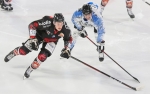 Ligue Magnus : 15me journe : Amiens  vs Gap 