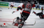 Ligue Magnus : 15me journe : Bordeaux vs Nice