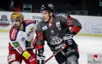 Ligue Magnus : 19me journe : Bordeaux vs Grenoble 