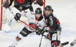 Ligue Magnus : 22me journe : Amiens  vs Mulhouse