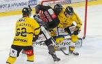 Ligue Magnus : 27me journe : Amiens  vs Rouen