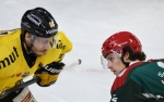 Ligue Magnus : 35me journe : Cergy-Pontoise vs Rouen